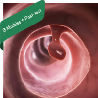 CT Virtual Colonoscopy E-learning Course